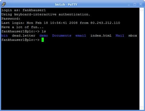 PuTTy Window